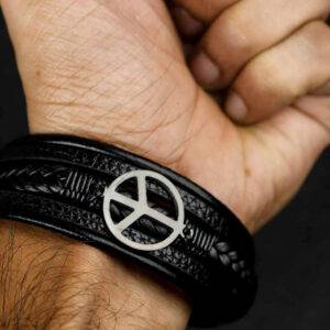 Alternative view of Peace 1