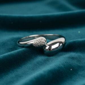 Alternative view of Kaalchakra Silver